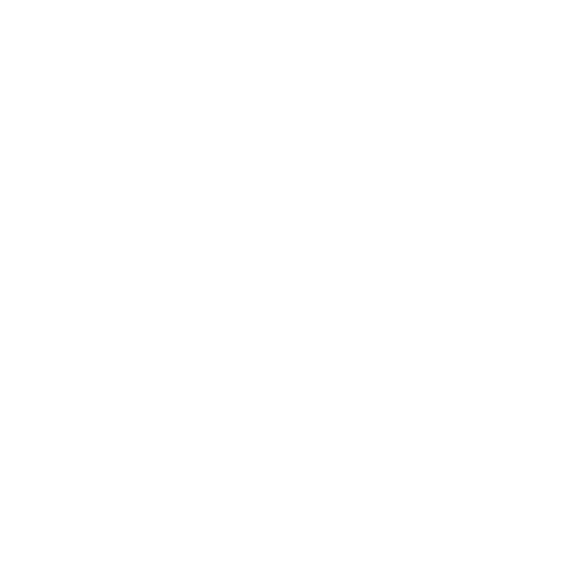 Anthropic API